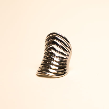 Funkadelic Cage Ring | Stainless Steel