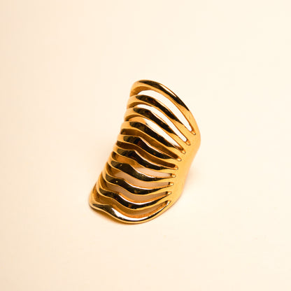 Funkadelic Cage Ring | 18K Gold plated